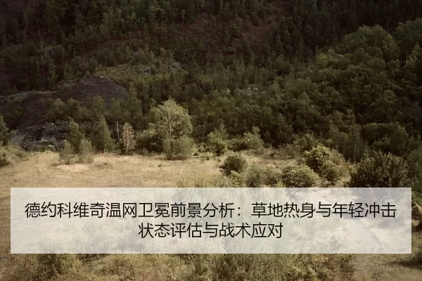 de-yue-ke-wei-qi-wen-wang-wei-mian-qian-jing-fen-xi-cao-di-re-shen-yu-nian-qing-chong-ji-zhuang-tai-ping-gu-yu-zhan-shu-2-168.jpg