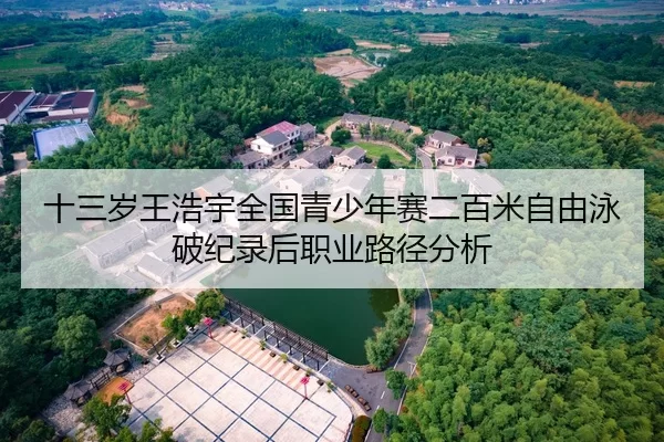 十三岁王浩宇全国青少年赛二百米自由泳破纪录后职业路径分析